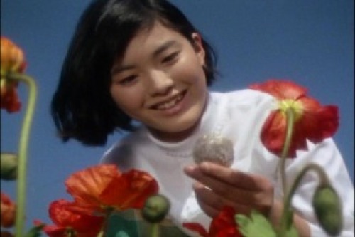 松坂慶子の若い頃画像㉕1968年（16歳）ウルトラセブン「悪魔の住む花」